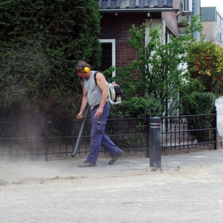 Snoeien hoge conifeer in Apeldoorn-Zuid